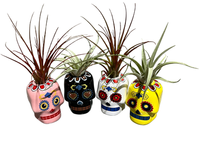 Sugar Skulls